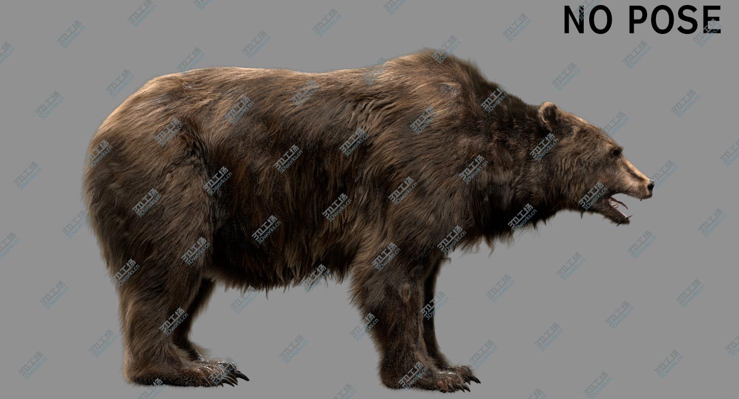 images/goods_img/202104094/3D Bear Anatomy (Fur) model/4.jpg
